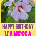 Happy Birthday Vanessa
