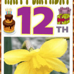 Happy Birthday 12 th