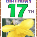 Happy Birthday 17 th