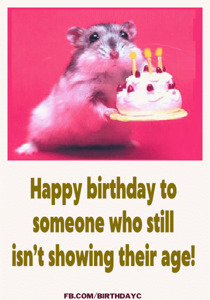 Short Funny Birthday Wishes and Messages