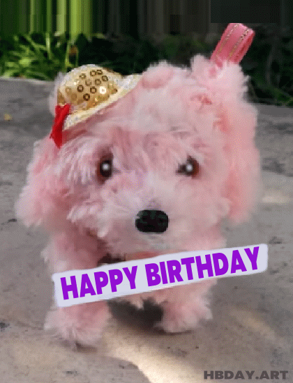 Cute Dog, Happy Birthday gif